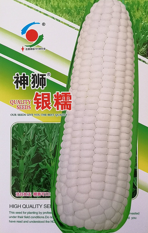 神狮银糯——玉米 神狮银糯——玉米